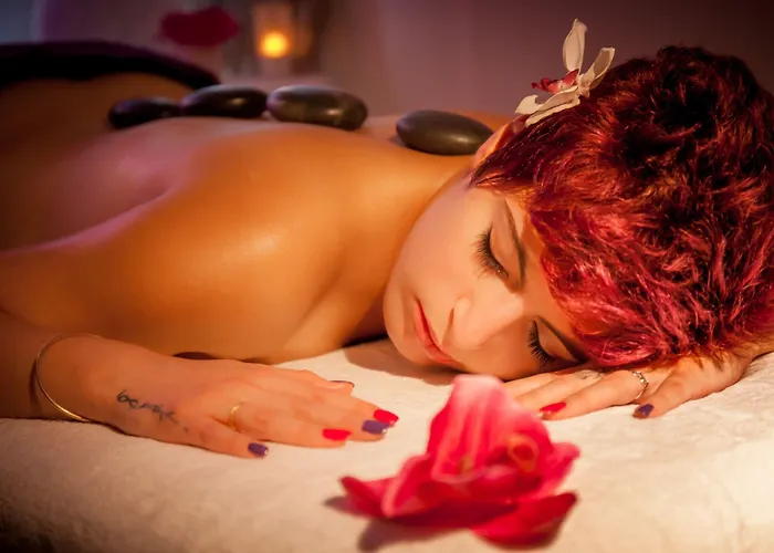 Arc En Ciel Et - D'olonne Hotel 3*